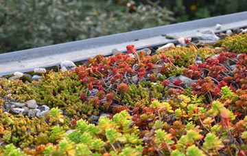 the cost of Bloomsbury green roof installation