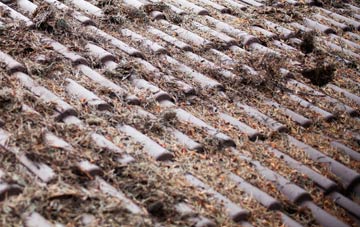 Bloomsbury roof cleaning companies