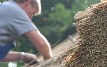 professional Bloomsbury thatchers