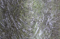 Bloomsbury fibreglass roof work